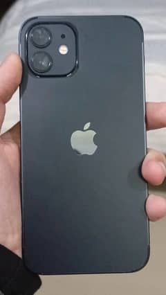 i phone 12