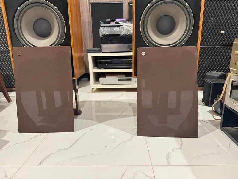 TANNOY DEVON HPD315A 9