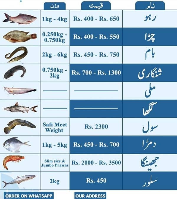 All  fish available Rahu  baam soal mali shangari  contact 03044360413 6