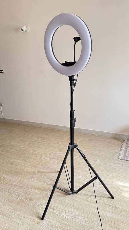 Professional ring light 1