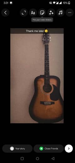 PROFESSIONAL ACOUSTIC GUITAR