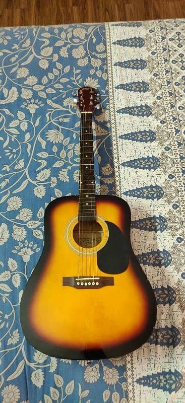 PROFESSIONAL ACOUSTIC GUITAR 1