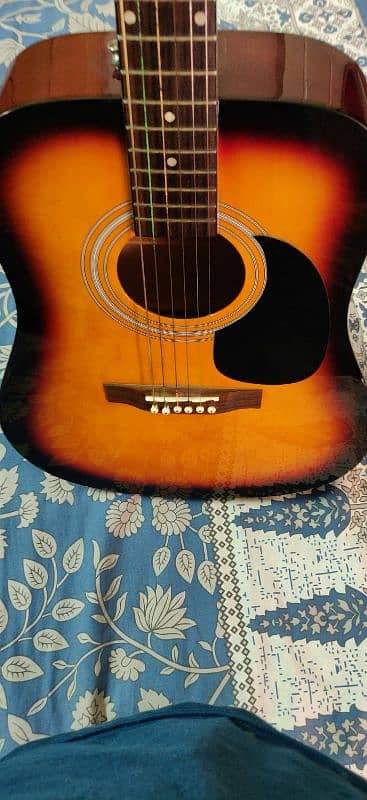 PROFESSIONAL ACOUSTIC GUITAR 6