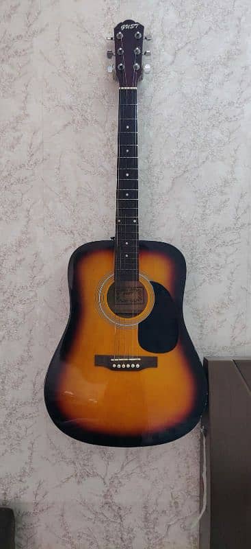 PROFESSIONAL ACOUSTIC GUITAR 8