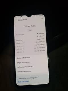 Samsung Galaxy A30s