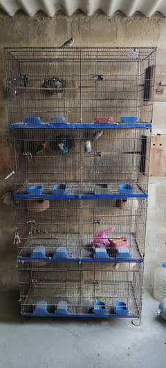 Cage and breeder pairs