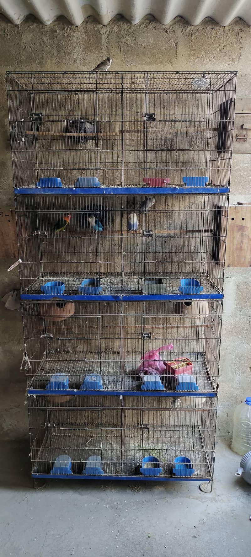 Cage and breeder pairs 0