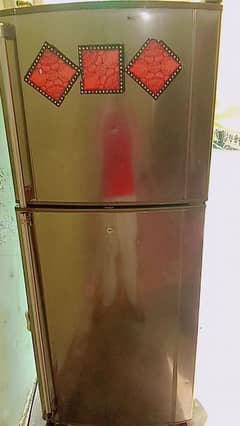 saff candeshen fridge