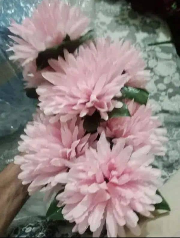 flowers phool 1