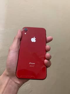 Iphone XR Non pta