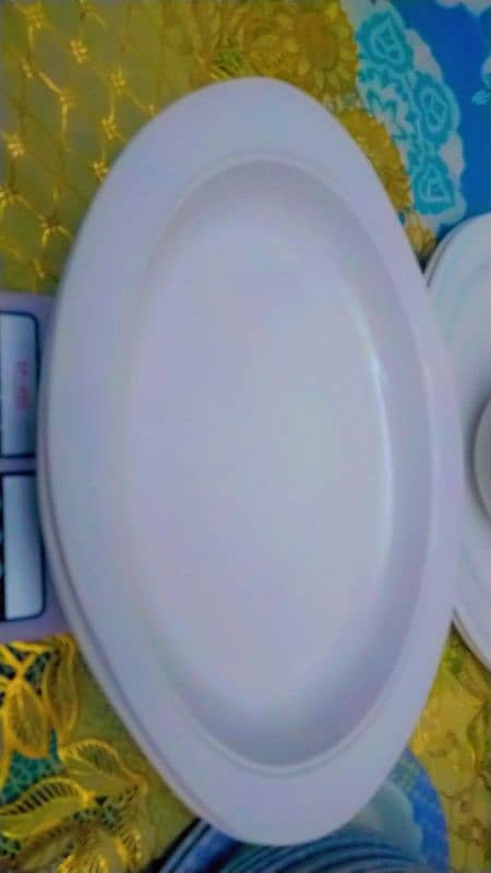 crockery 18