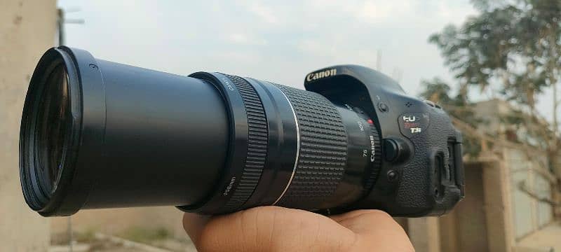 Canon 600D with 75-300 Lens 2