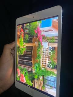 apple ipad