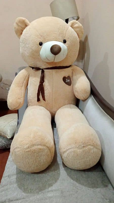 jumbo size Teddy bears imported quality 1