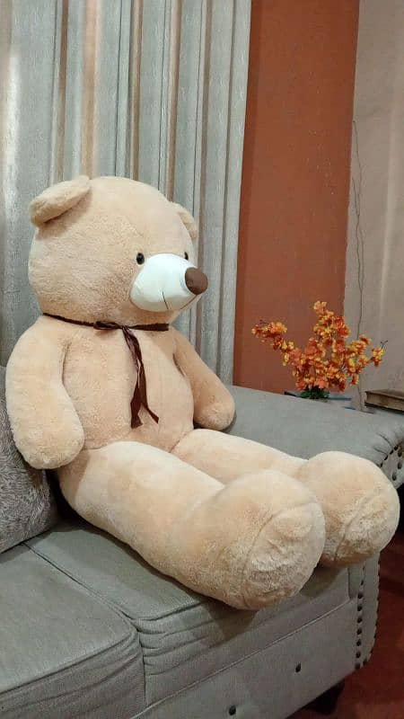 jumbo size Teddy bears imported quality 2