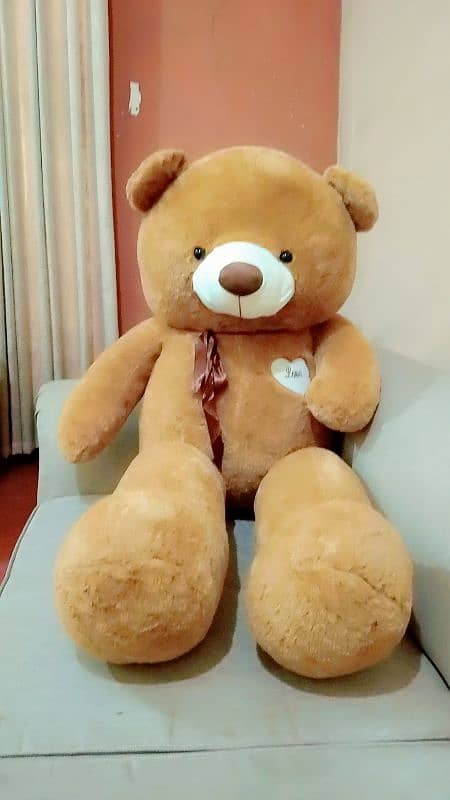 jumbo size Teddy bears imported quality 6