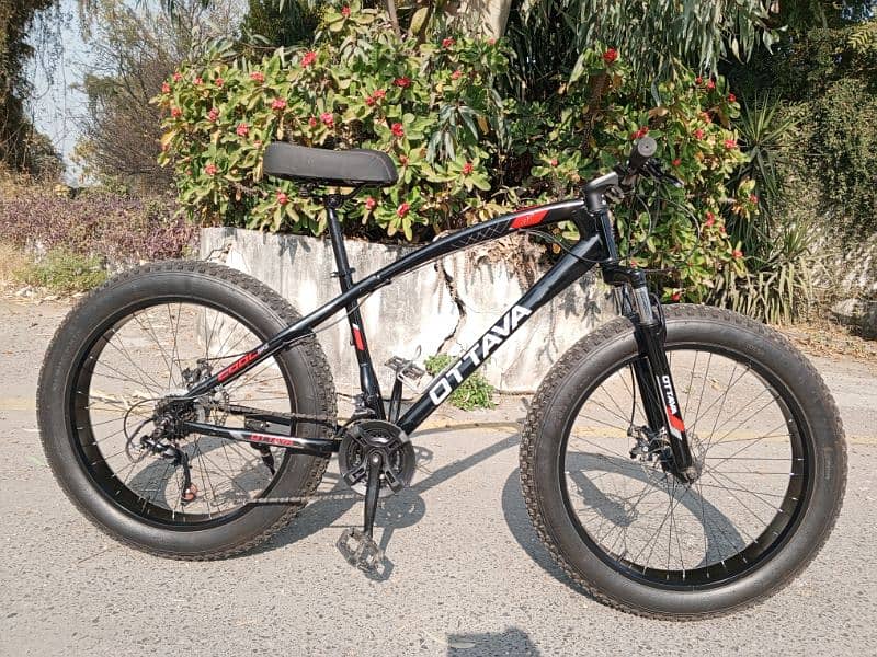 Ottava Fat bike for sale 0