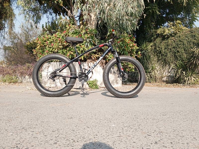 Ottava Fat bike for sale 2