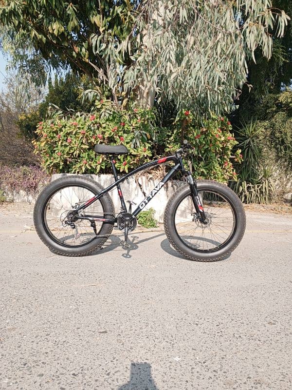 Ottava Fat bike for sale 3