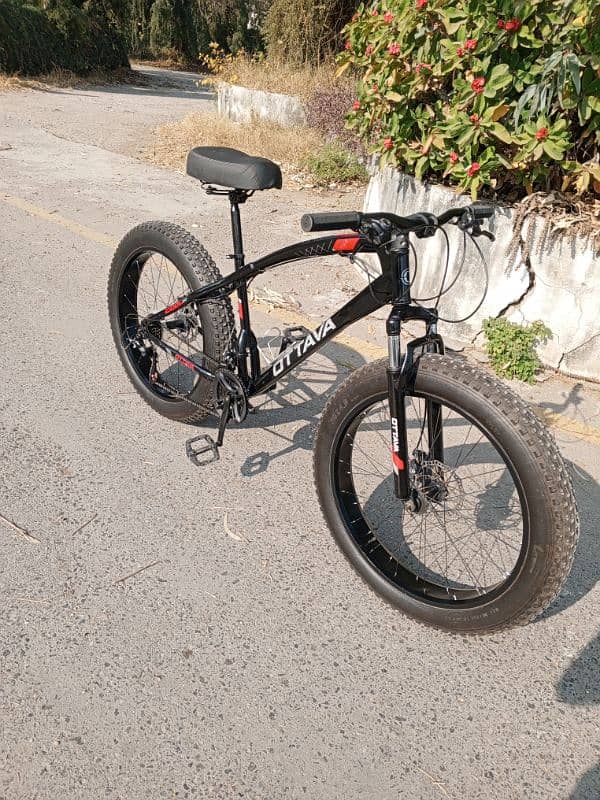 Ottava Fat bike for sale 5