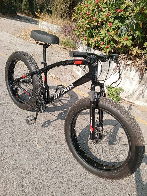 Ottava Fat bike for sale 7