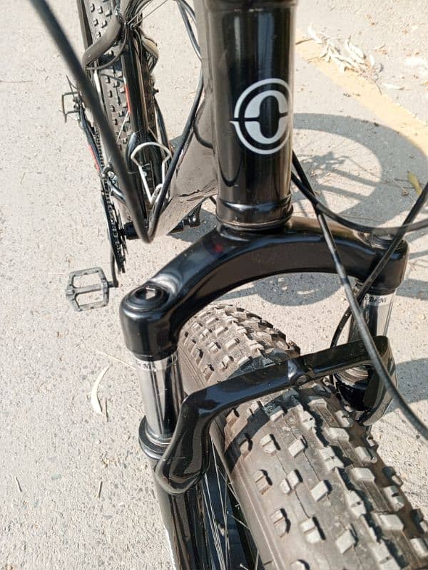 Ottava Fat bike for sale 15