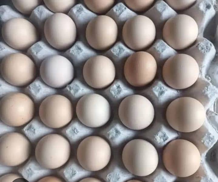 Desi fresh eggs , organic fresh fertile eggs 1