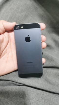 iphone 5