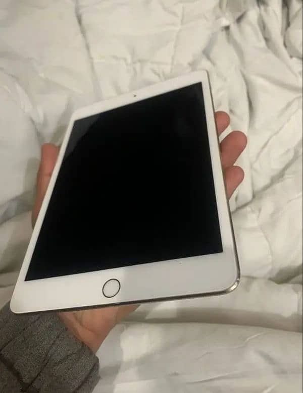 Ipad Mini 4 64gb 1