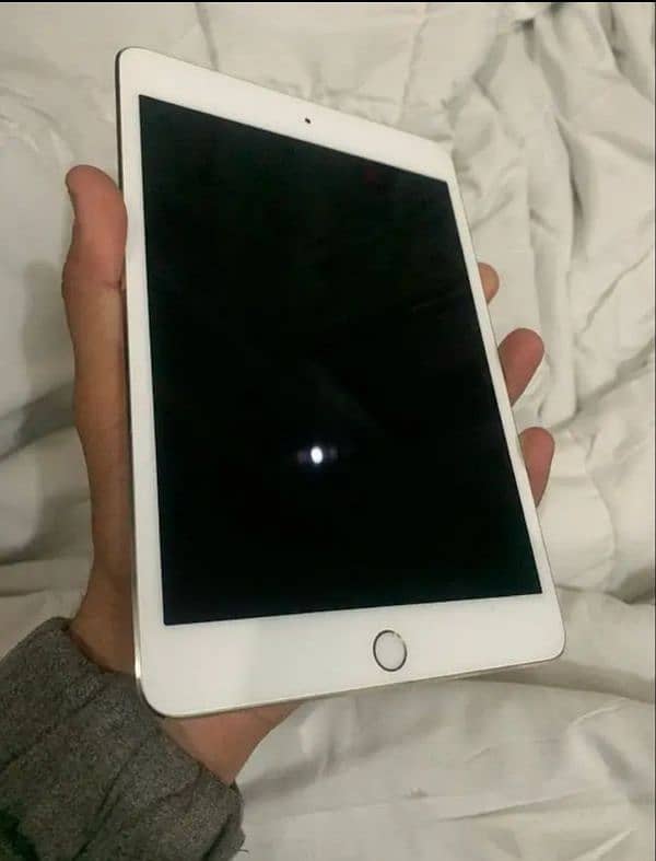 Ipad Mini 4 64gb 2