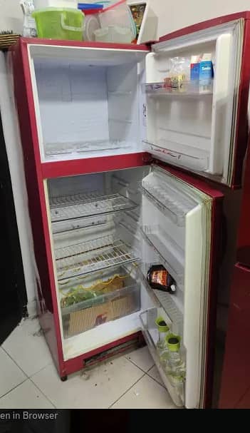 Singer Refrigerator (Urgent Sell) 1