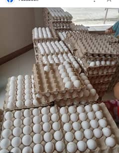 Eggs | Desi Eggs | Ferttiles Eggs | Desi Eggs for sale