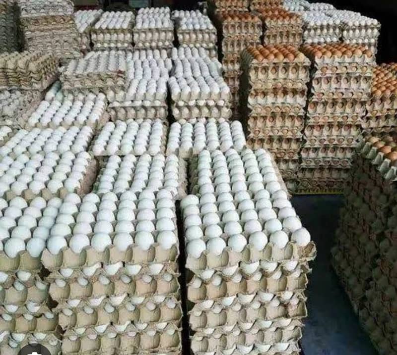 Eggs | Desi Eggs | Ferttiles Eggs | Desi Eggs for sale 1