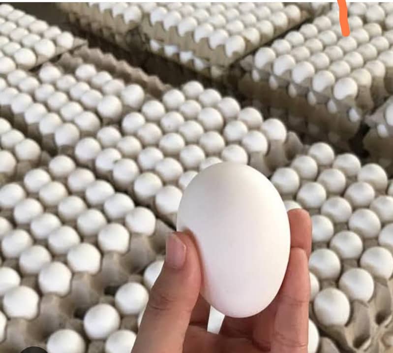 Eggs | Desi Eggs | Ferttiles Eggs | Desi Eggs for sale 4