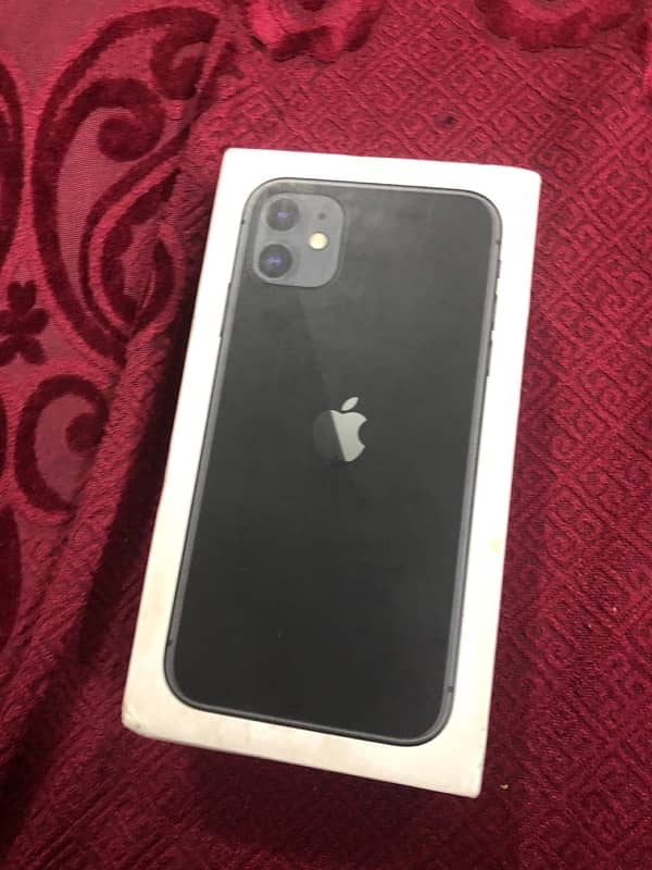 iphone 11 Pta aproved 2