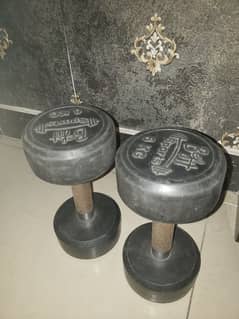 6KG Dumbells