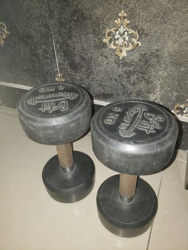 6KG Dumbells 0