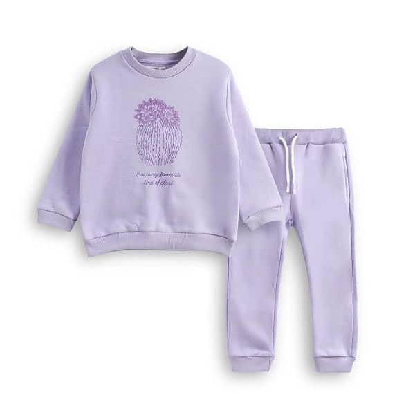 BRANDED PURPLE FAVOURITE PLANT 2 PCS SET 0