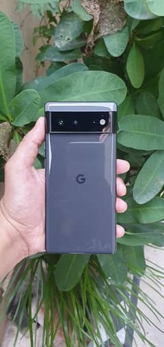 Google pixel 6