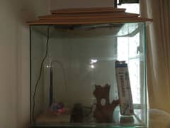 AQUARIUM FOR SALE