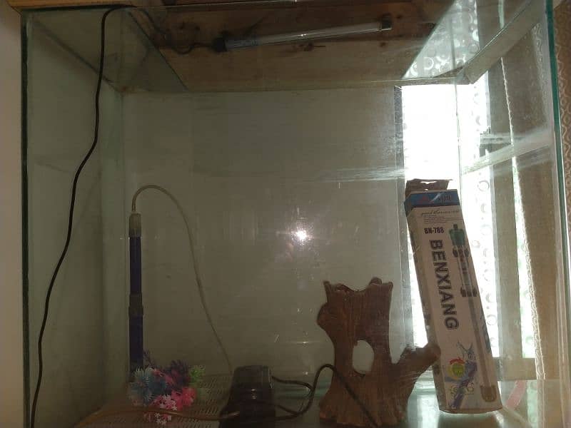 AQUARIUM FOR SALE 4