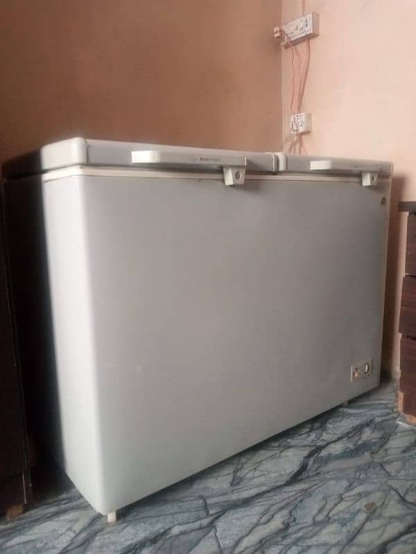 PEL DEEP FREEZER TWIN DOOR 1