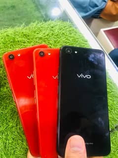 Vivo