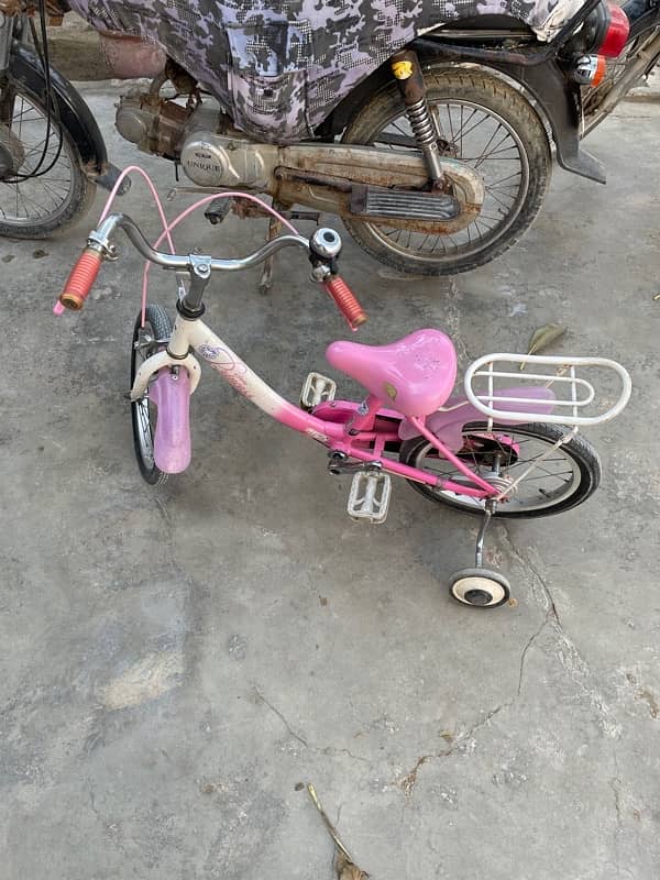 japanese girl cycle pink color 6