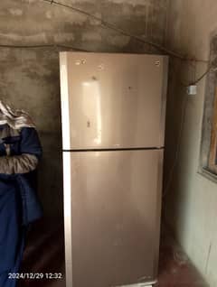 Refrigerator frideg for sell