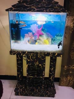 fish aquarium