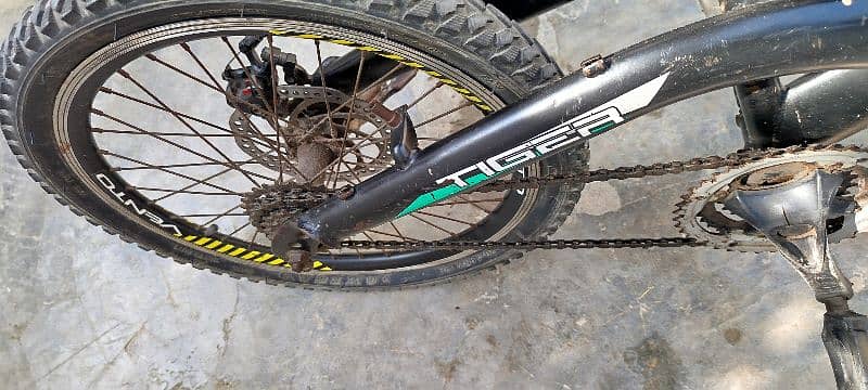 VENTO SPORTS CYCLE 5