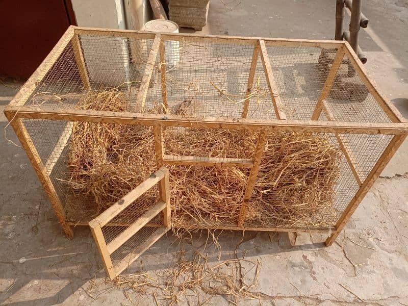 Three hens and Two cocks with cage are for sale 2