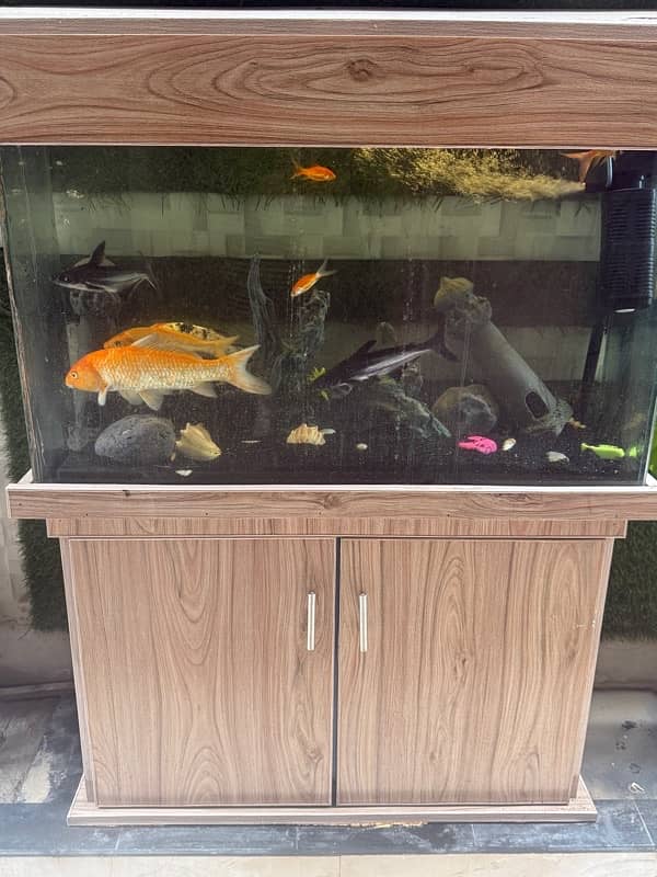 Fish Aquarium 0