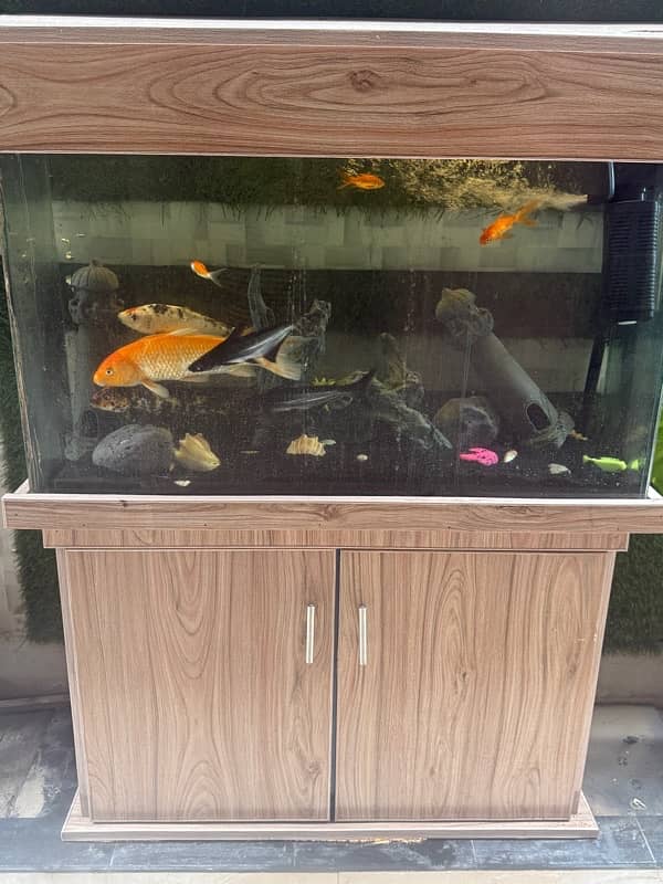 Fish Aquarium 2